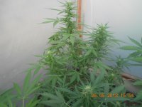 DSCN4778.JPG
