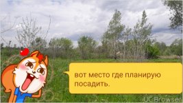 TMPDOODLE1527943422809.jpg