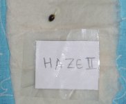 Haze.jpg