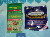 P1010008.JPG