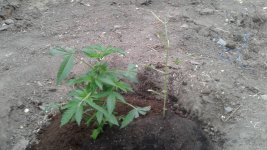 20180506_190348.jpg