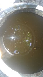 20180605_164345.jpg