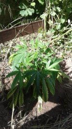 20180516_151615.jpg