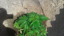 20180517_123138.jpg