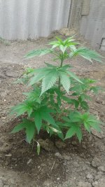 20180519_102643.jpg