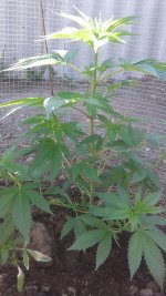 20180521_094333.jpg