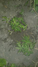 20180522_011451.jpg