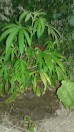 20180523_222708.jpg