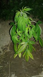 20180523_222715.jpg