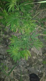 20180524_010120.jpg