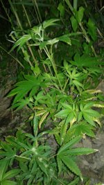 20180524_010127.jpg