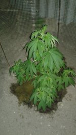 20180525_230119.jpg