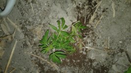 20180526_003626.jpg