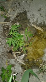 20180530_010542.jpg