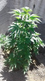 20180530_105206.jpg