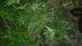 20180601_025420.jpg