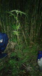 20180602_022006.jpg