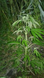 20180602_023326.jpg