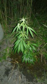 20180602_023319.jpg