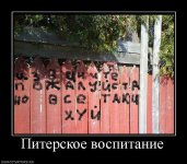 172135_piterskoe-vospitanie.jpg