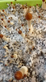 Снимок экрана 2018-06-14 в 8.12.42.png