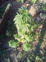 IMG_20180614_174626.jpg