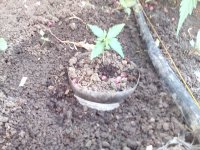 IMG_20180614 AutoScaar.jpg