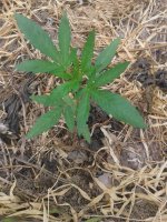 20120108_041523.jpg
