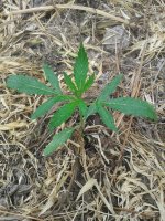 20120108_041623.jpg