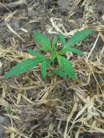 20120108_041628.jpg