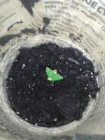 20120108_043937.jpg