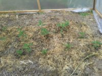 20120108_041639.jpg