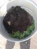 20120108_052946.jpg