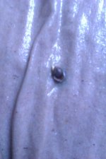 IMAG1089.jpg