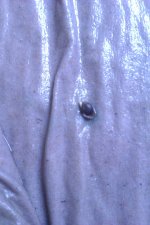 IMAG1090.jpg