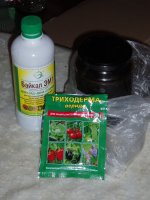 P1010029.JPG