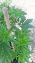 20180619_085742.jpg