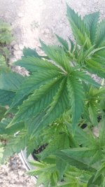 20180619_085736.jpg
