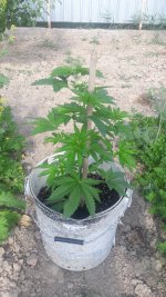 20180619_085730.jpg