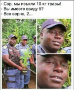 imageт имсч.png