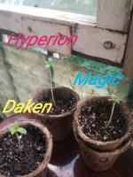 IMG_20180621_001146.jpg