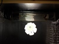 20180621_163809.jpg