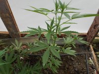 DSCN5149.JPG