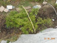 23.06.18 003.jpg 23.06.18 003.jpg