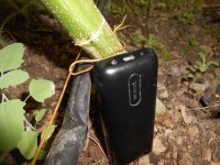 DSCN5170.JPG