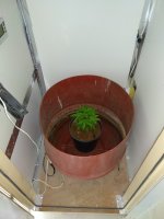 IMG_20180626_111042.jpg