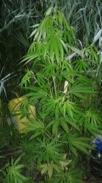 20180619_013452.jpg