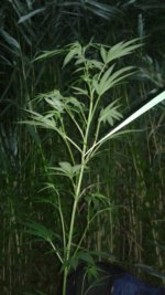 20180619_014653.jpg
