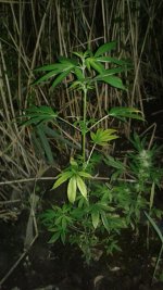 20180619_014036.jpg
