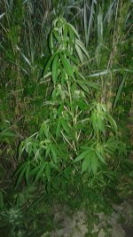 20180619_014345.jpg